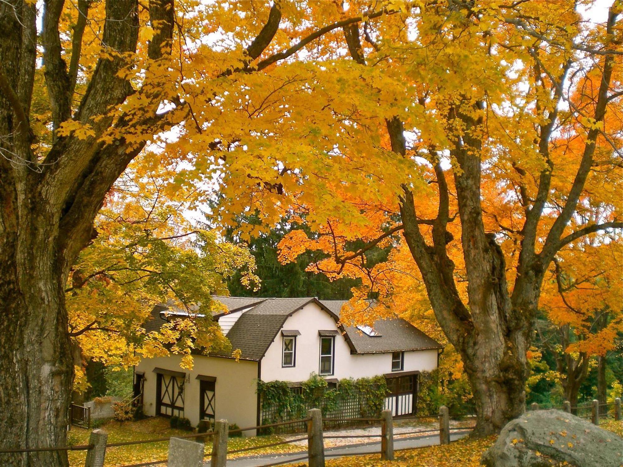 Whistler'S Inn 레녹스 외부 사진